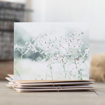 Handmade greeting card, white wildflower photography