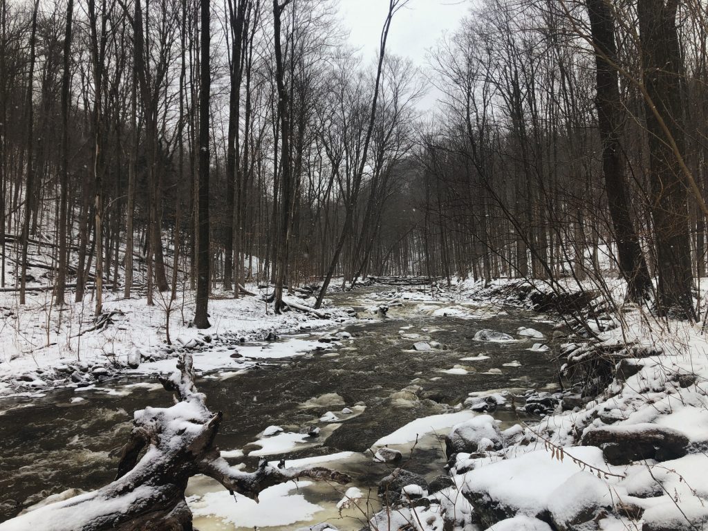 A wide view of a creek through a forest in winter. Everything is snow covered. Rocks and fallen branches are scattered in the water.
