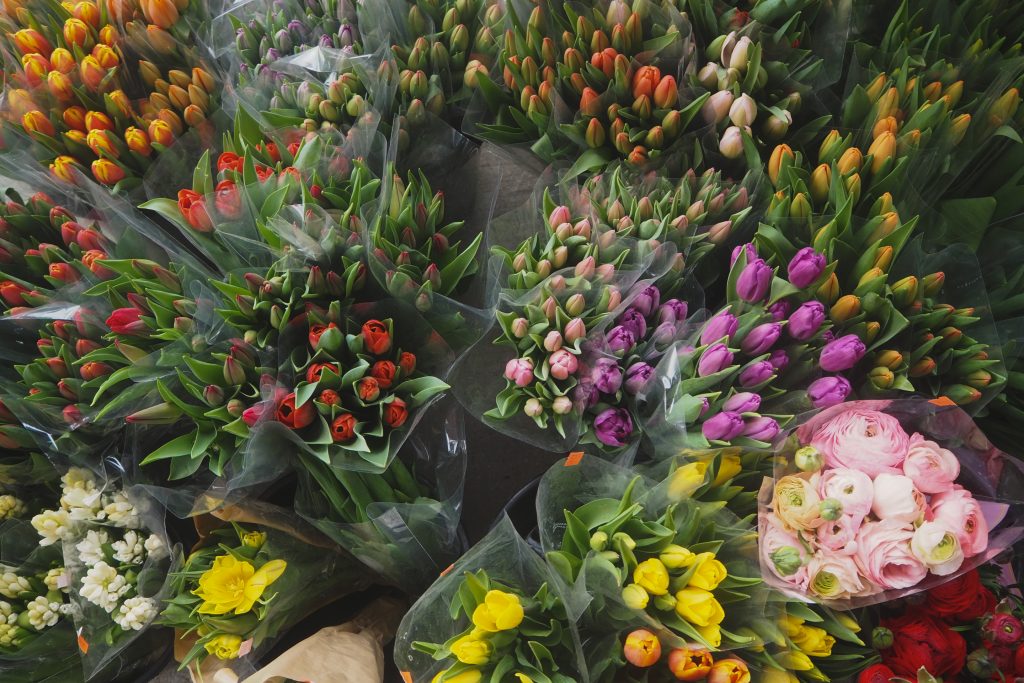 Top down view of bouquets of multicoloured tulips.