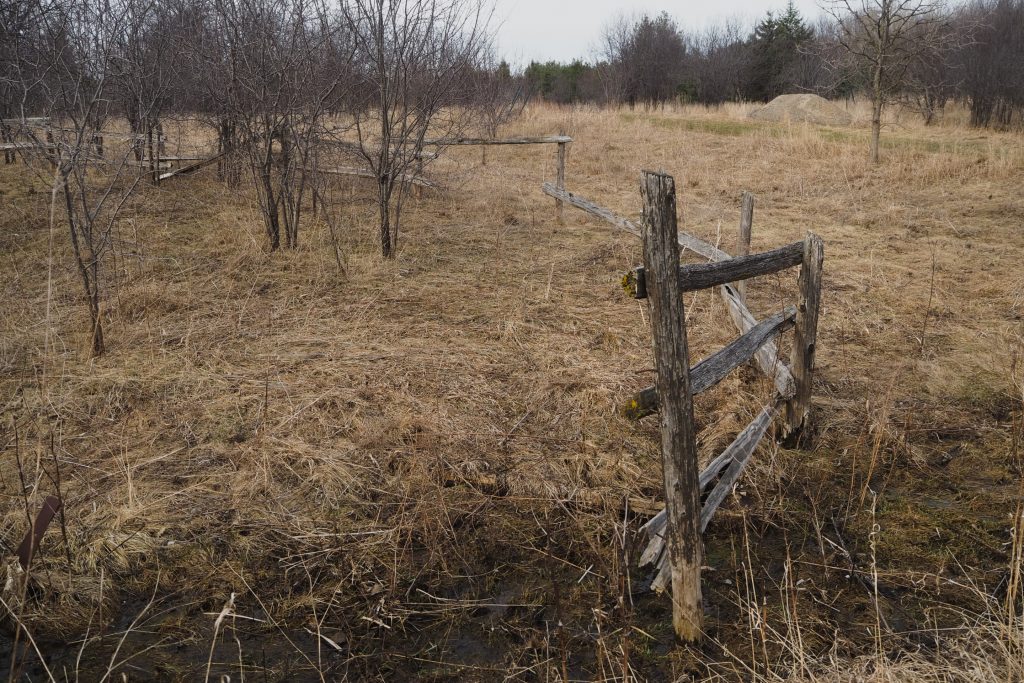 Landscape of brown field and bare trees with a broken and rustic wooden fence weaving through it.