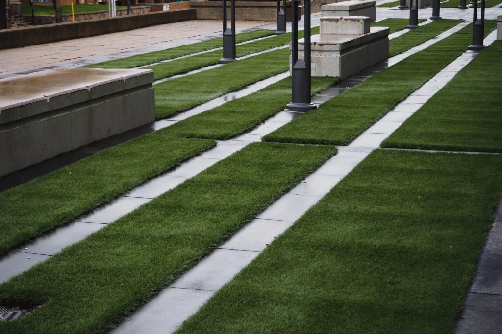 Street photography in Kitchener, Ontario. Geometric rows of manicured grass and lines of paving stones.