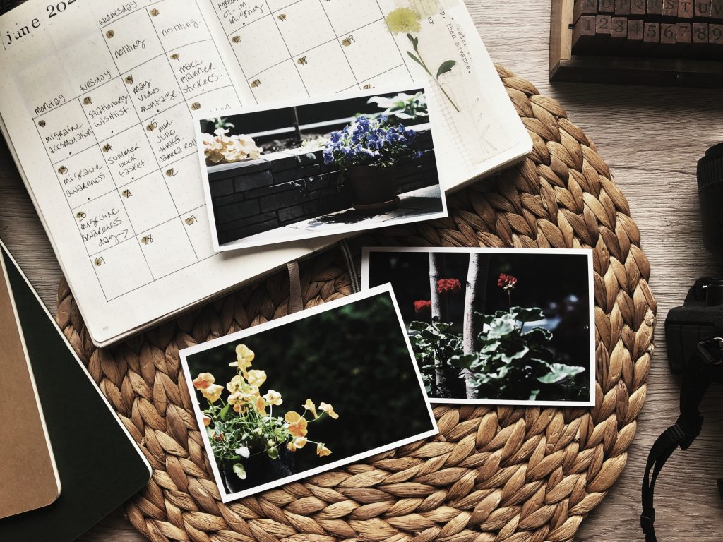 A flatlay of camera roll photos. Three photographs of flowers growing in flowerpots. Also in the photo, a notebook spread showing a June 2022 calendar.