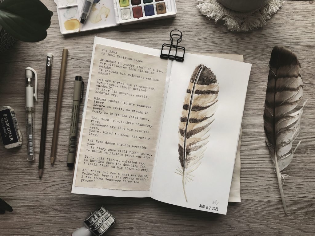 A photo depicting a watercolour attempt of a hawk feather I found. On a wooden desktop is an open notebook with a typed poem on the left (text in the post) and a watercolour of a feather on the right. The actual feather is on the desk to the right of the notebook. Various paint supplies are also on the desk around the notebook.