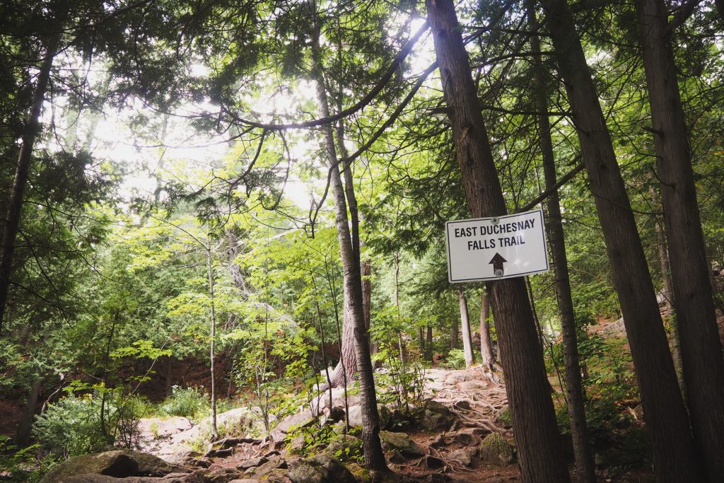 A photo of a rough and forested hillside with a sign on one of the trees reading "East Duchesnay Falls Trail" with an arrow directing hikers to the trail ahead.